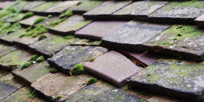 Denton roof repair costs